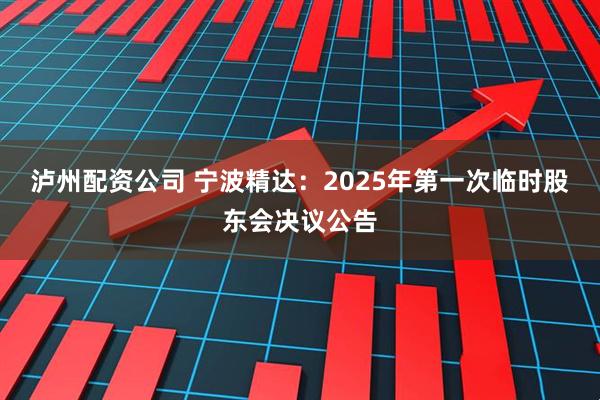 泸州配资公司 宁波精达：2025年第一次临时股东会决议公告