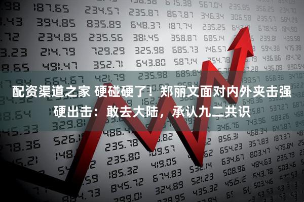 配资渠道之家 硬碰硬了！郑丽文面对内外夹击强硬出击：敢去大陆，承认九二共识