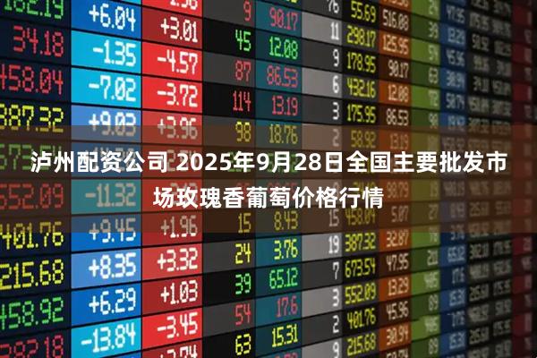 泸州配资公司 2025年9月28日全国主要批发市场玫瑰香葡萄价格行情