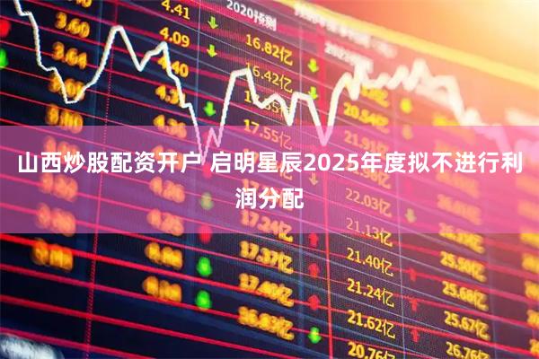 山西炒股配资开户 启明星辰2025年度拟不进行利润分配